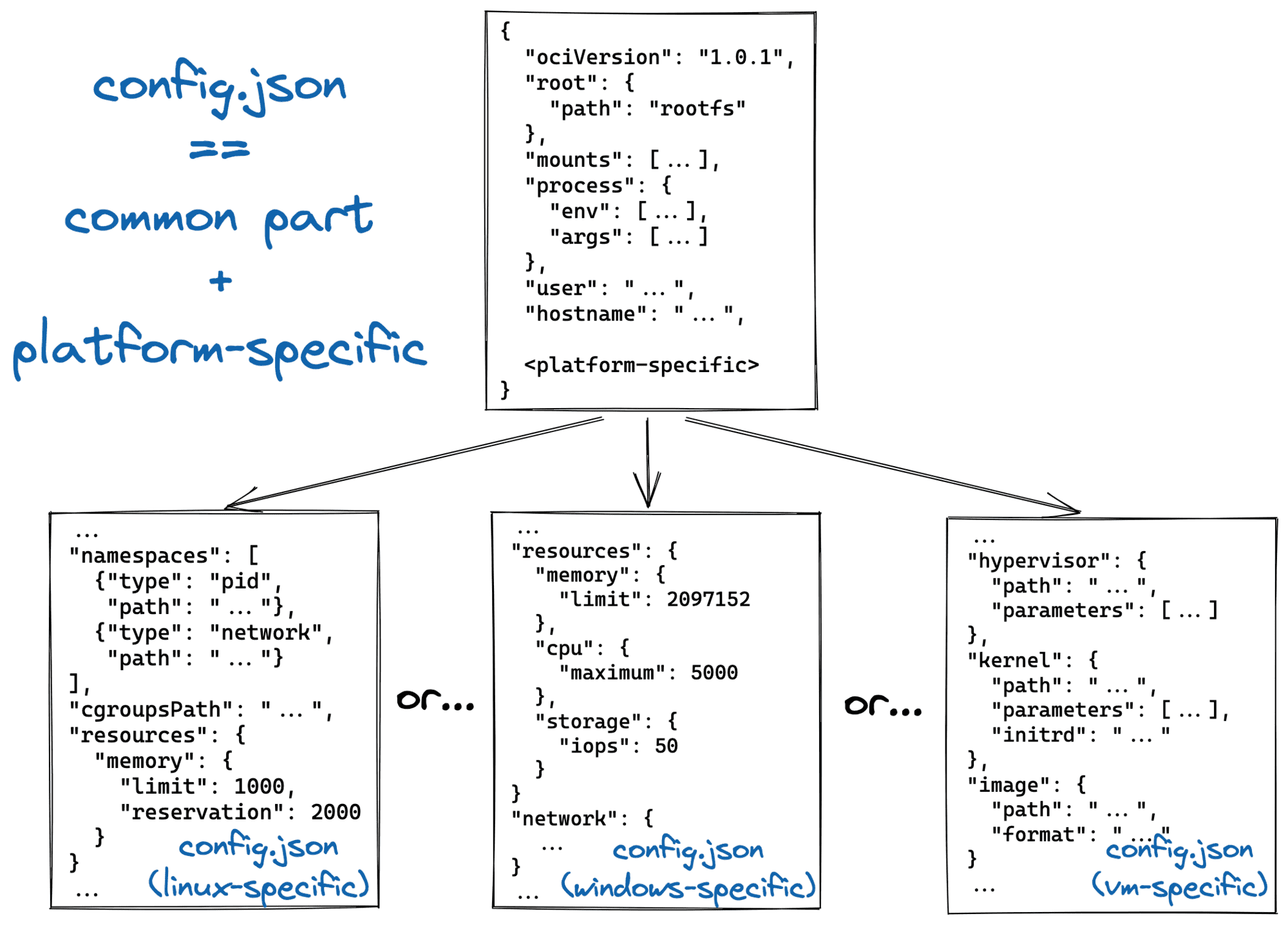 OCI Runtime config.json consists of the common and platform-specific parts