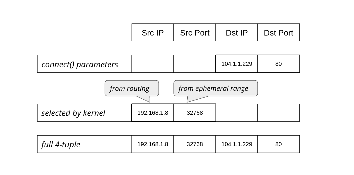in outgoing connection 4-tuple, the src IP and src port are usually selected automatically by the kernel